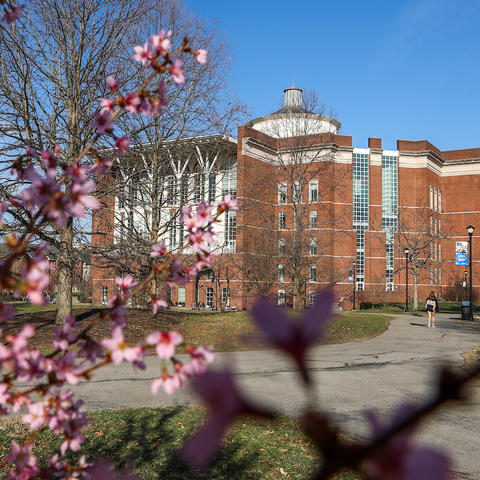 william t young library in the spring time with pink flowers nearby