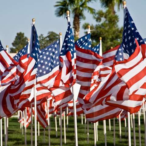photo of American flags