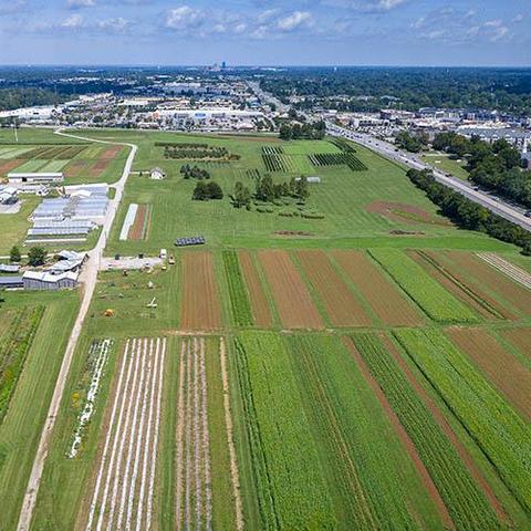 Aerial view of UK's Horticulture Research Farm in Lexington