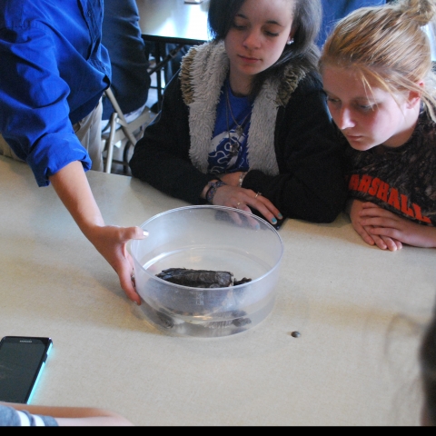 photo of Marshall Co. students looking at turtle as part of CAER, Design PGDP project