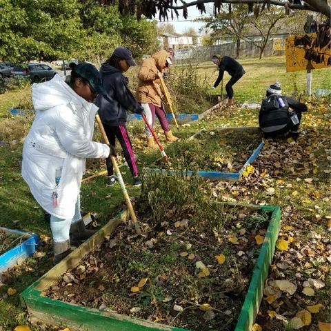 photo of UK volunteers at Community Action Council raised gardens