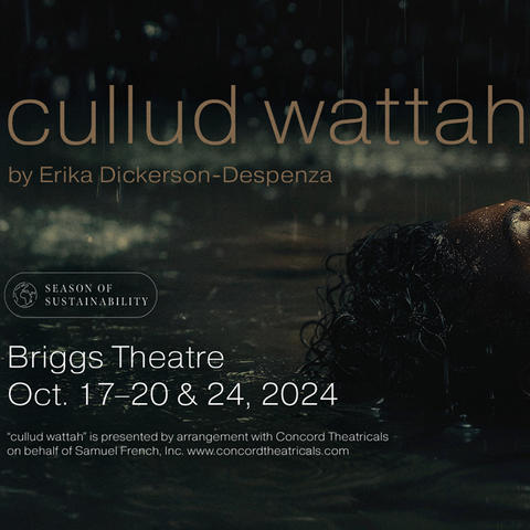 cullud wattah promotional poster