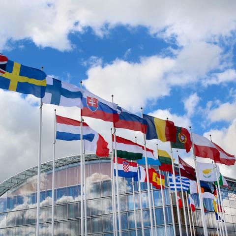 photo of flags of European Union countries