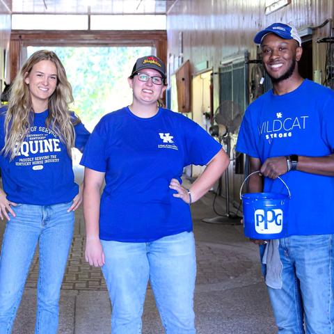 volunteer activities