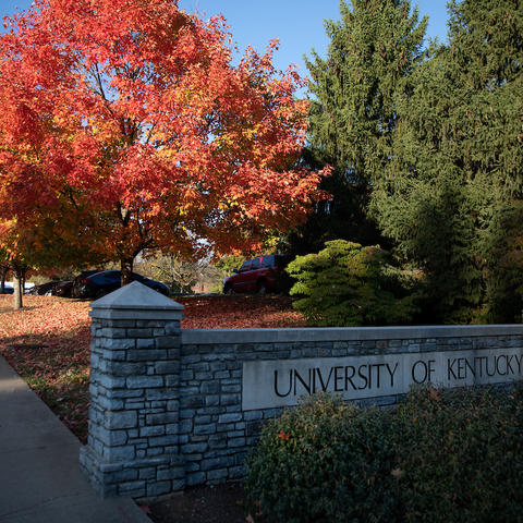 photo of University of Kentucky sign with tree behind it with bright red fall colored leaves.