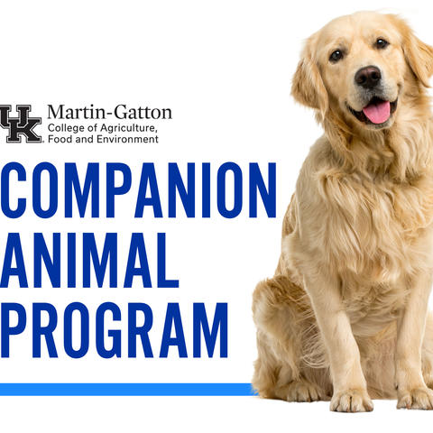 Martin-Gatton Companion Animal flyer