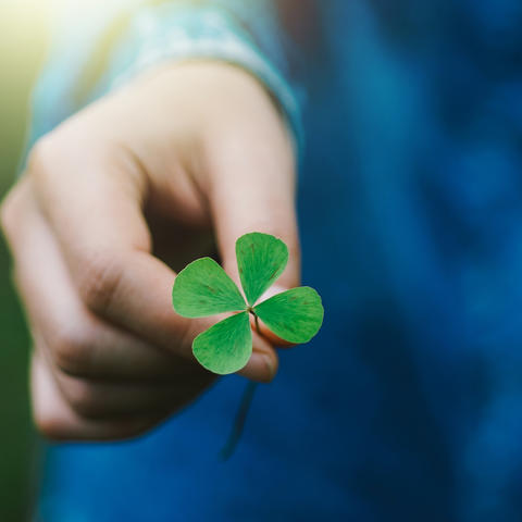 Getty Image of Person Holding a Shamrock