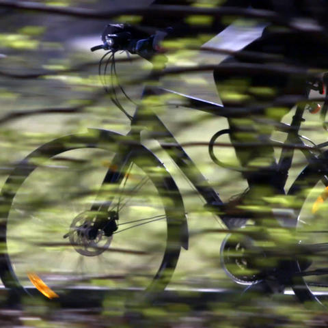 photo of person riding bike past trees