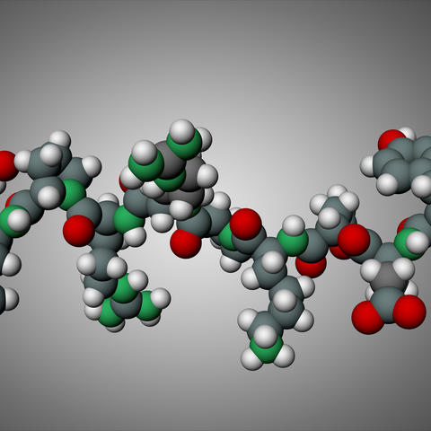 3D rendering of neurotensin molecule