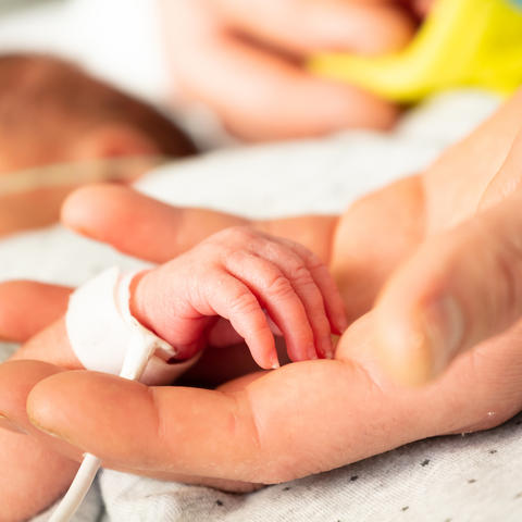 A newborn holds a hand.