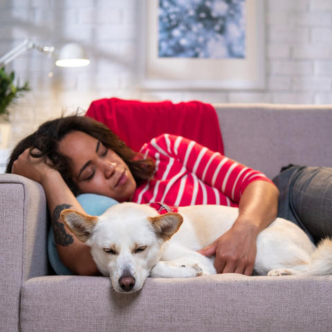 dog and woman napping