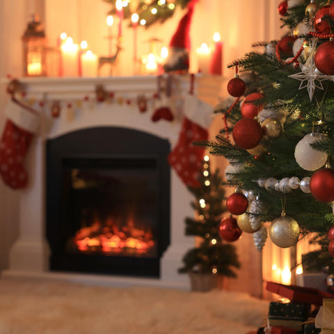 Liudmila Chernetska, iStock / Getty Images Plus