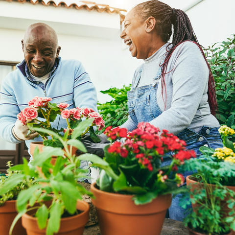 Two older adults sit at an outdoor table surrounded by terracotta pots of colorful flowers and plants, smiling and talking while tending to a small container garden.