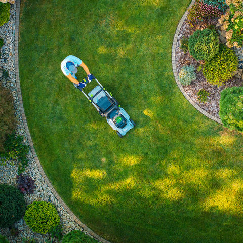 Overhead view of a person pushing a lawn mower across a neatly trimmed green lawn bordered by curved stone edging and landscaped shrubs.