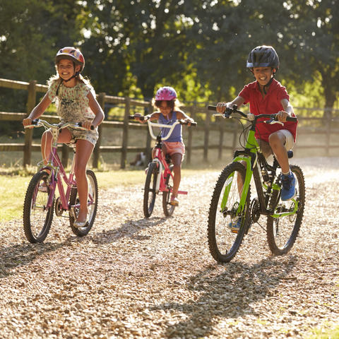 image of four children riding bikes and wearing helmets