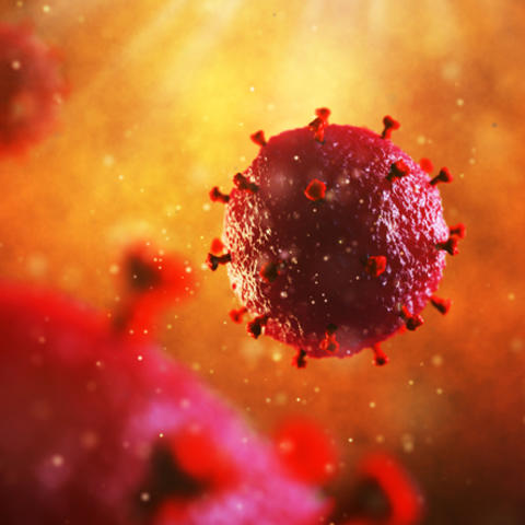 Photo of HIV virus