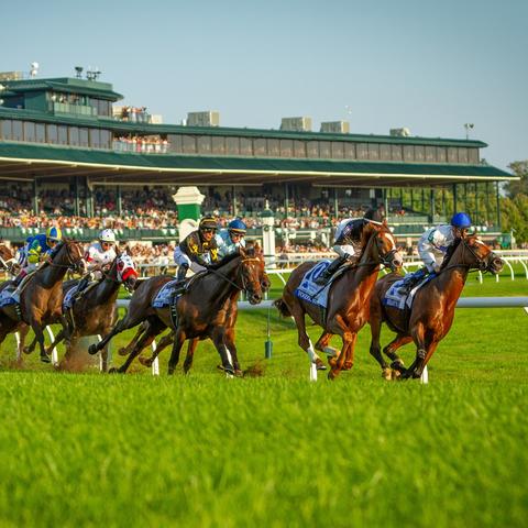 Horses racing on track 