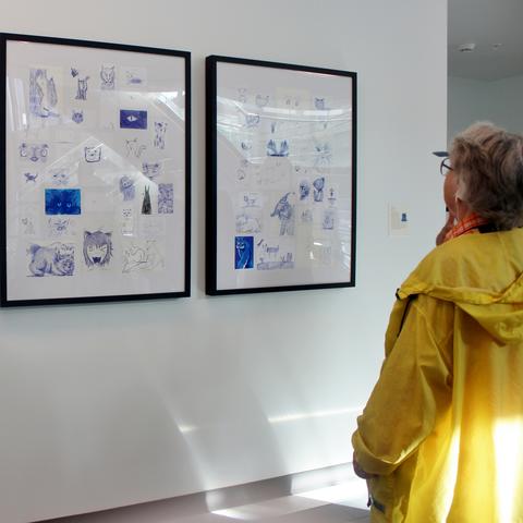 photo of visitor looking at wildcat drawings at Gatton Student Center