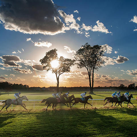 photo of horses running at Keeneland racetrack