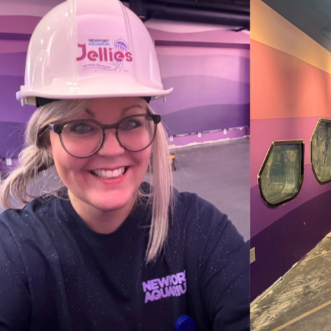 A behind the scenes look at Newport Aquarium’s “Jellies: Go With The Flow” exhibit while it was under construction. Photo of Hall provided. Photo of construction courtesy of Newport Aquarium social media. 