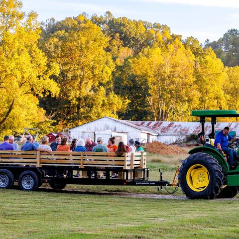 Educational farm tours