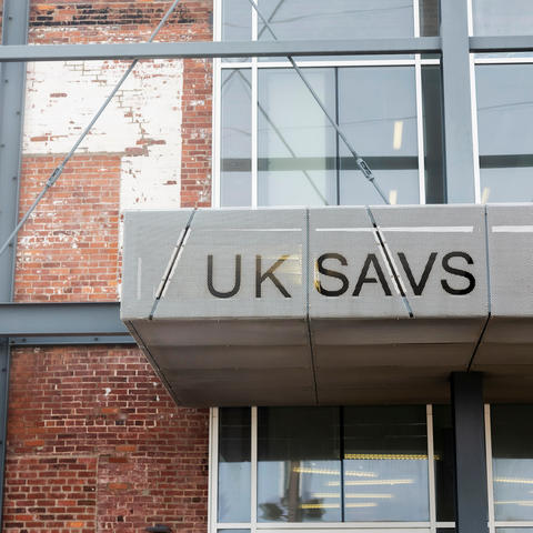 UK’s School of Art and Visual Studies