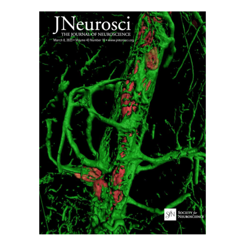 The cover of Journal of Neuroscience Vol. 43, Issue 10 8 March 2023