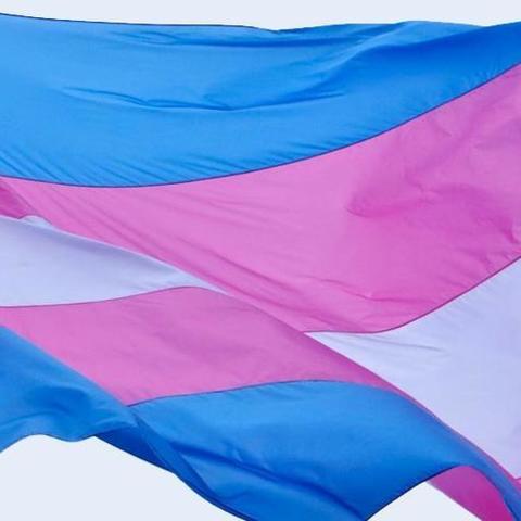 Photo of Transgender flag