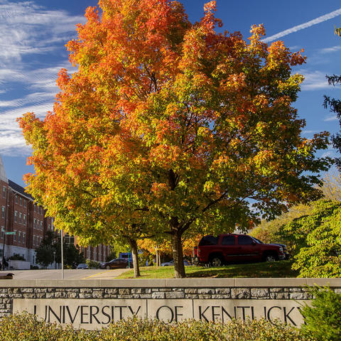 Fall foliage frames the University of Kentucky sign as a cyclist passes by on campus.