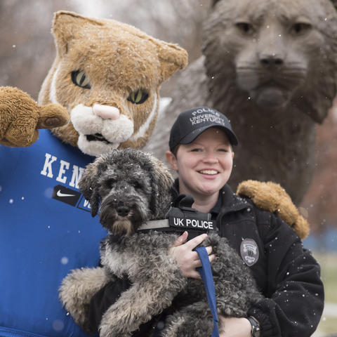 photo of UK Wildcat, Oliver and Amy Boatman