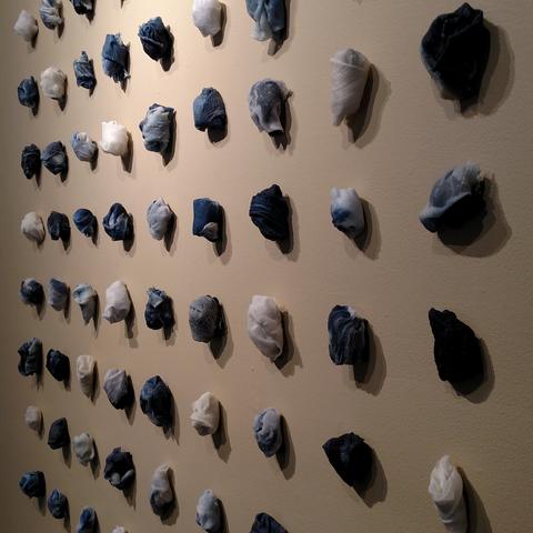 photo of detail image of "Womb Study" by Ali Deane