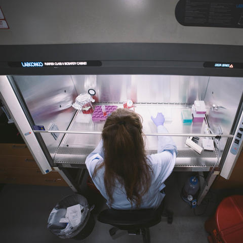 photo of women working in lab