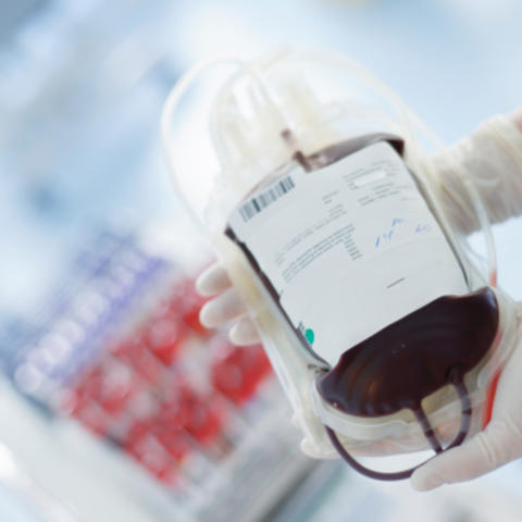 photo of donated blood