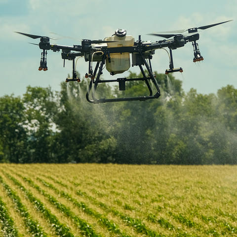 Drone flying to manage disease in field crops