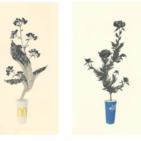 photo of 4 prints of plant stems coming out of fast food cups by Yoonmi Nam