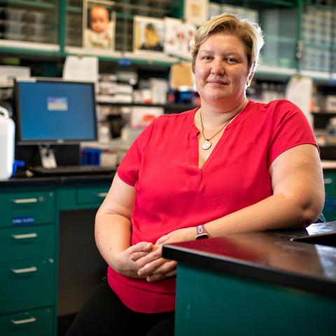 Donna Wilcock, of the Sanders-Brown Center for aging in her lab on Aug. 14, 2019 Mark Cornelison | UKphoto