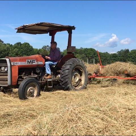 Kyle Brooks Groves enjoys a sunny day making hay on his farm.