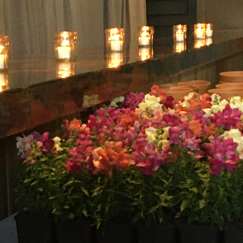 image of flowers and candles at memorial service