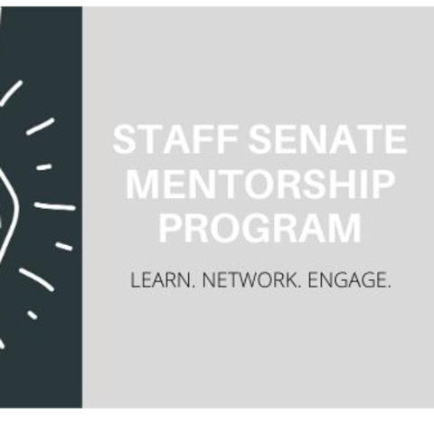graphic that says Staff Senate Mentorship Program. Learn. Network. Engage.