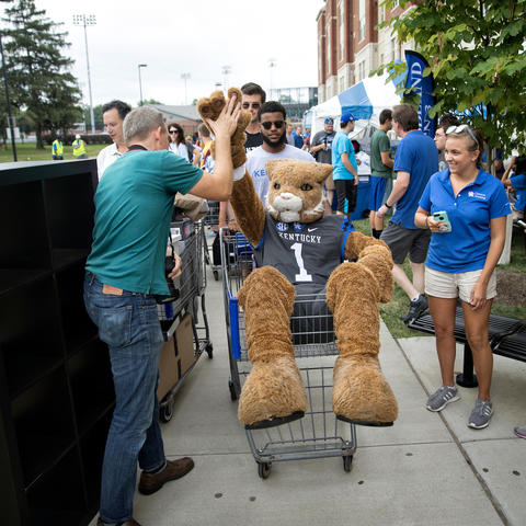 picture of the UK wildcat at move-in