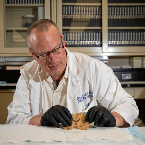 peter nelson in the lab holding a brain sample