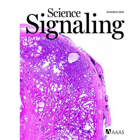 The cover of Science Signaling Vol. 18, Issue 878