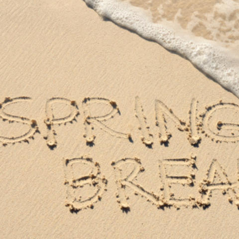 photo of spring break in the sand