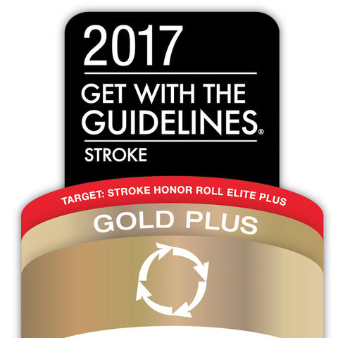 The AHA Stroke Gold Plus logo