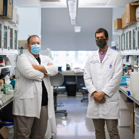 UK researchers Patrick Sullivan and Brad Hubbard have been awarded $3.2 million to continue research that could pave the way for a treatment for traumatic brain injury. Pete Comparoni | UK Photo.