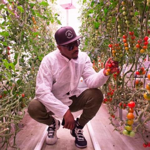 Ramel Smooth Bradley in greenhouse