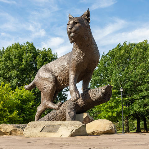 photo of Bowman, the wildcat statue