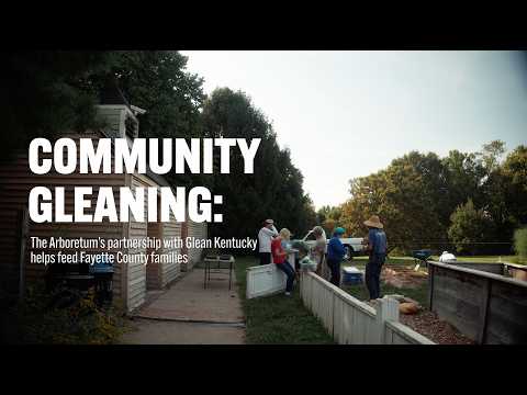Thumbnail of video for Community gleaning: The Arboretum’s partnership with Glean Kentucky helps feed Fayette County families