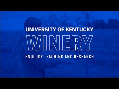 Thumbnail of video for ‘Wine that’s grown here tastes like Kentucky’: UK enologist shares about research, teaching at UK Winery 