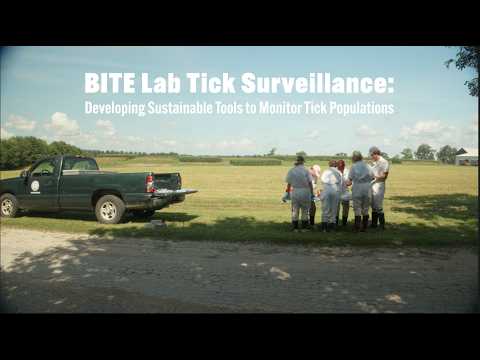 Thumbnail of video for ‘Tick magnets’ guide UK ecology research, tool testing and student learning 